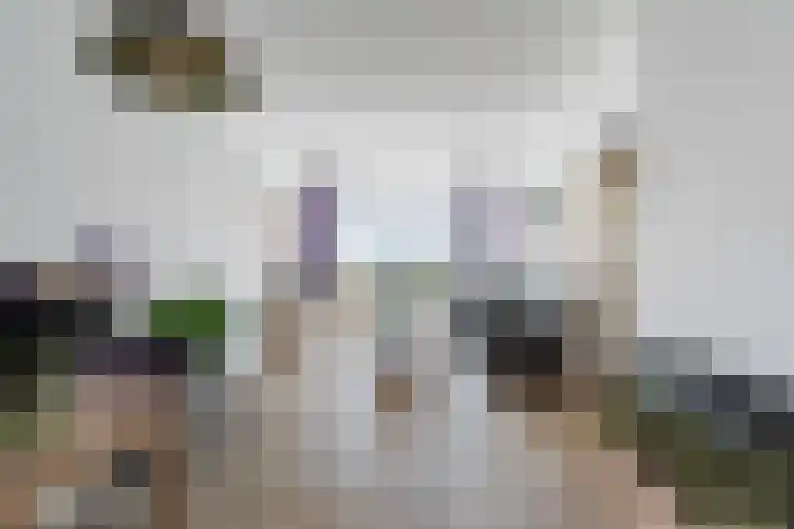 Hattemlaan 12 Den Haag thumbnail 35