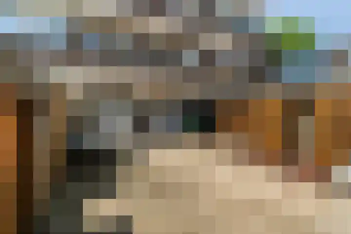 Hattemlaan 12 Den Haag thumbnail 4