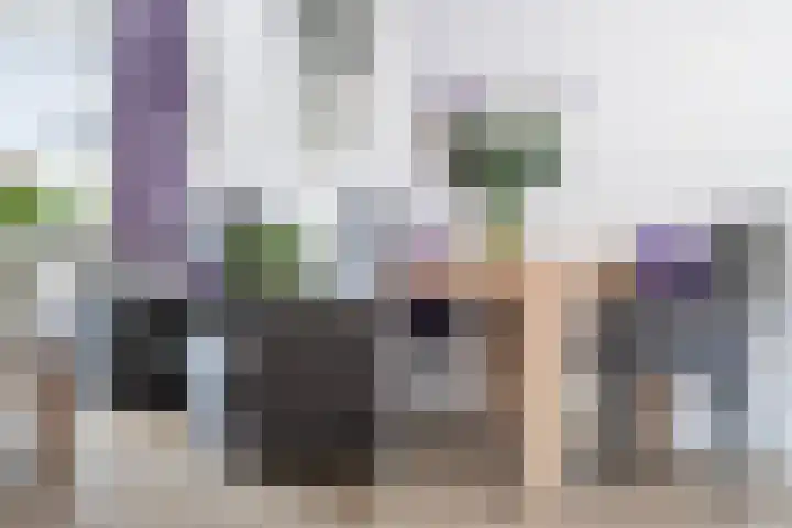 Hattemlaan 12 Den Haag thumbnail 8