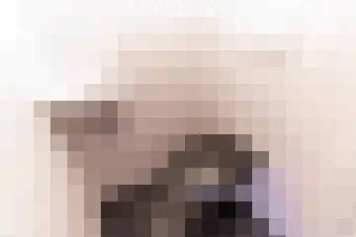 Hattemlaan 21 Den Haag thumbnail 20