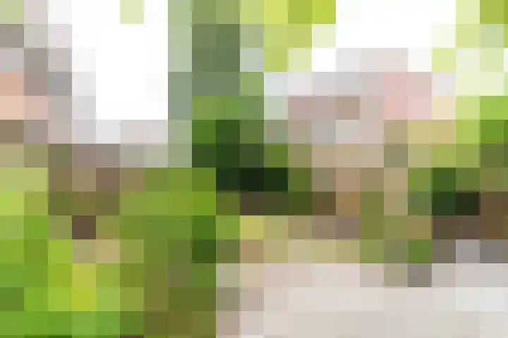 Hattemlaan 21 Den Haag thumbnail 22