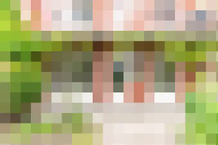 Hattemlaan 21 Den Haag thumbnail 25