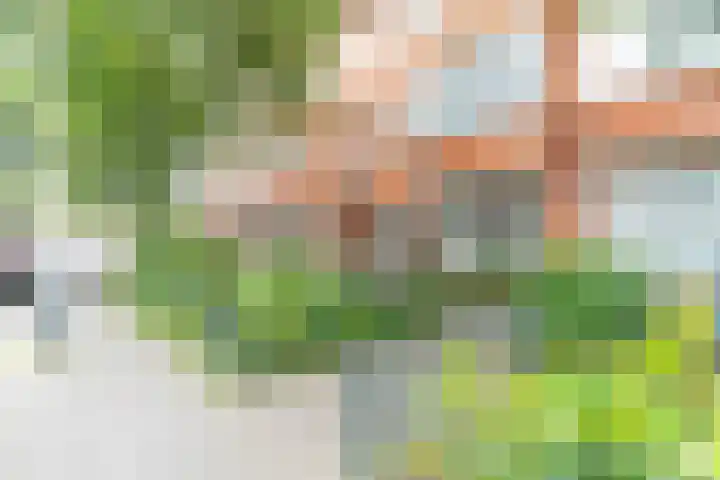 Hattemlaan 21 Den Haag thumbnail 28