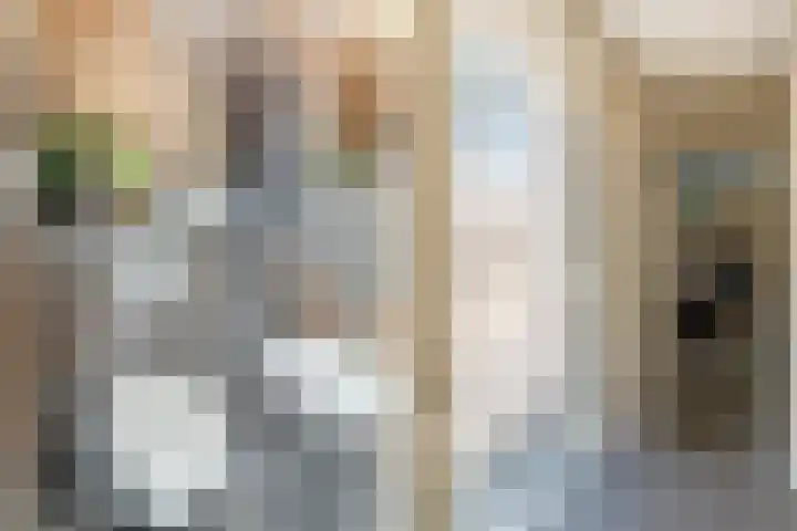 Hattemplein 7 Tilburg thumbnail 14