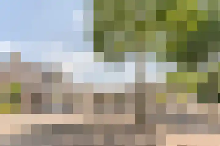 Hattemplein 7 Tilburg thumbnail 38