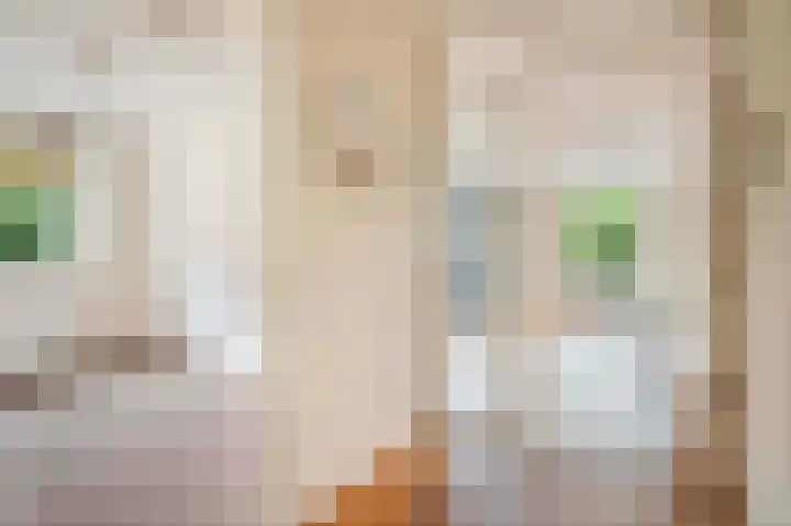Hattinkerf 22 Loenen thumbnail 6