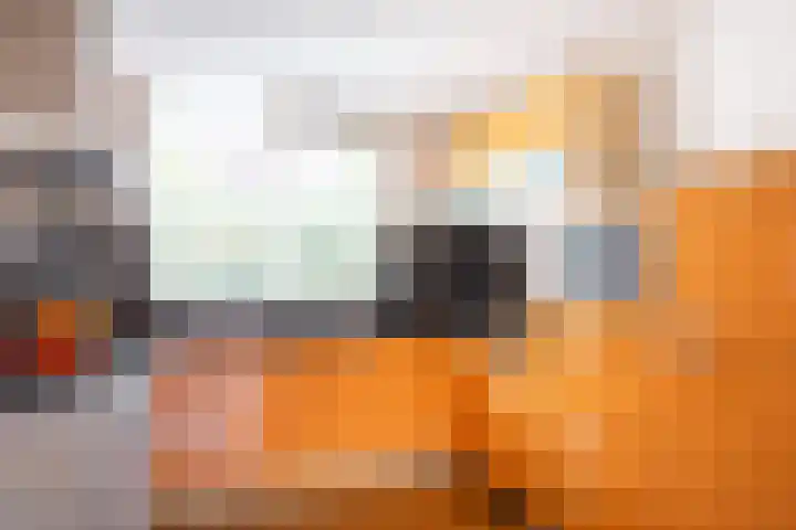 Havanadreef 5 Utrecht thumbnail 12
