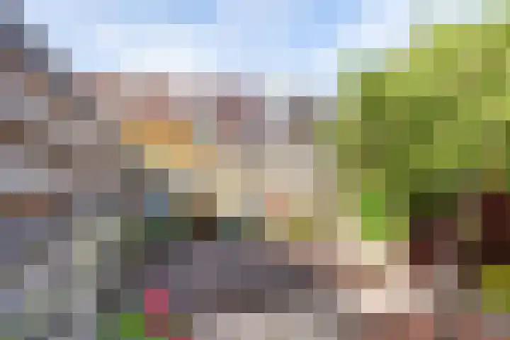 Havanadreef 5 Utrecht thumbnail 14