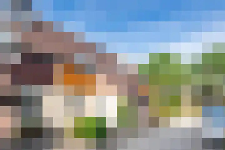 Havanadreef 5 Utrecht thumbnail 17