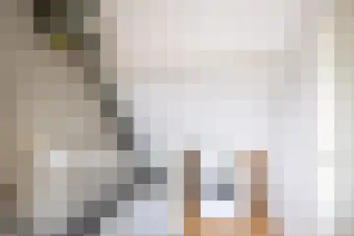 Havanadreef 5 Utrecht thumbnail 32