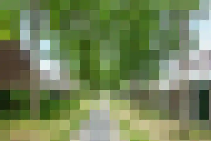 Havanadreef 5 Utrecht thumbnail 35