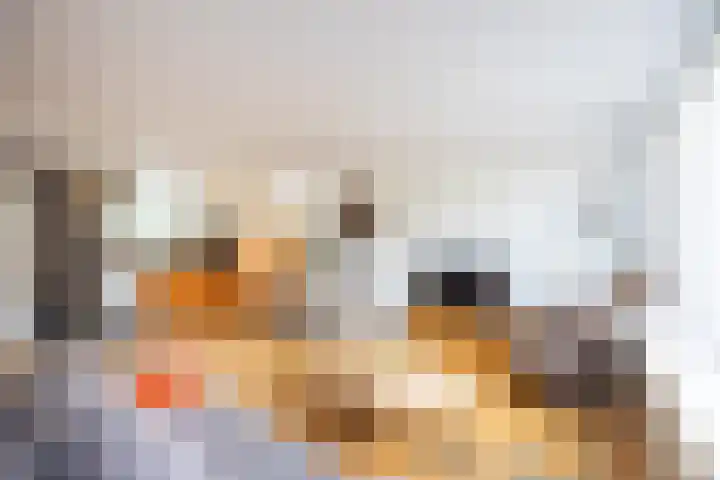 Havanadreef 5 Utrecht thumbnail 9