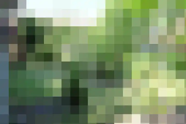 Haven 10 Reduzum thumbnail 10