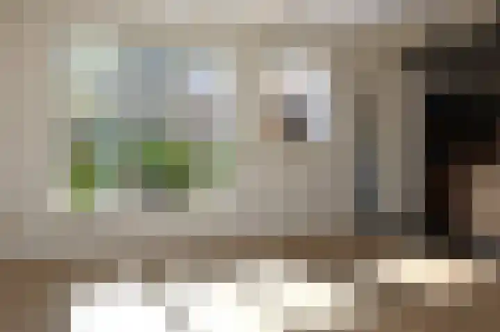 Haven 10 Reduzum thumbnail 17