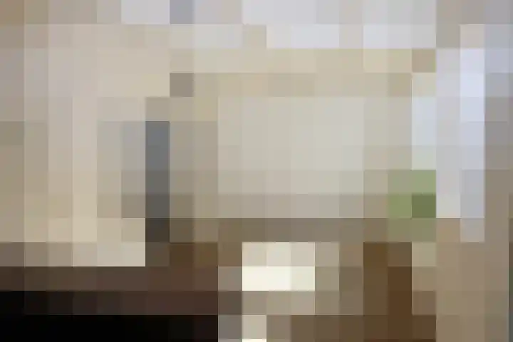 Haven 10 Reduzum thumbnail 23