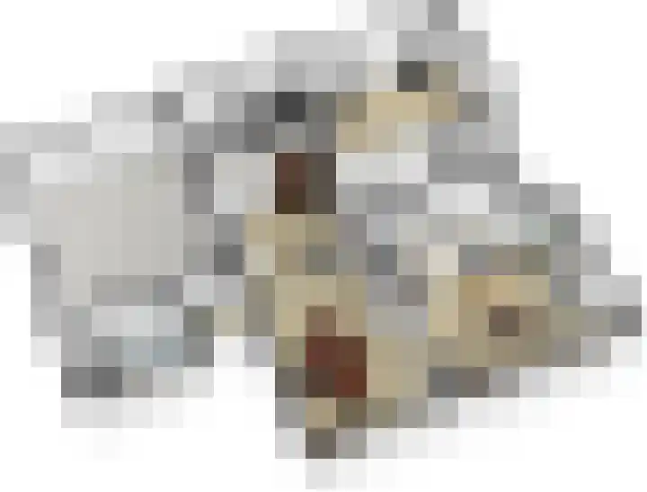 Haven 10 Reduzum thumbnail 47