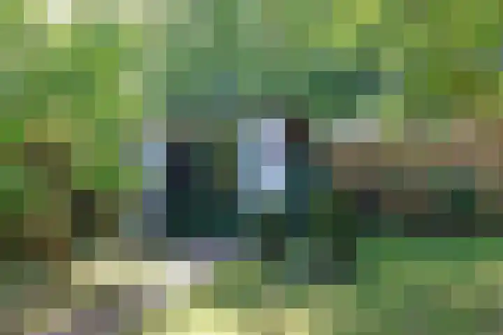 Haven 10 Reduzum thumbnail 7