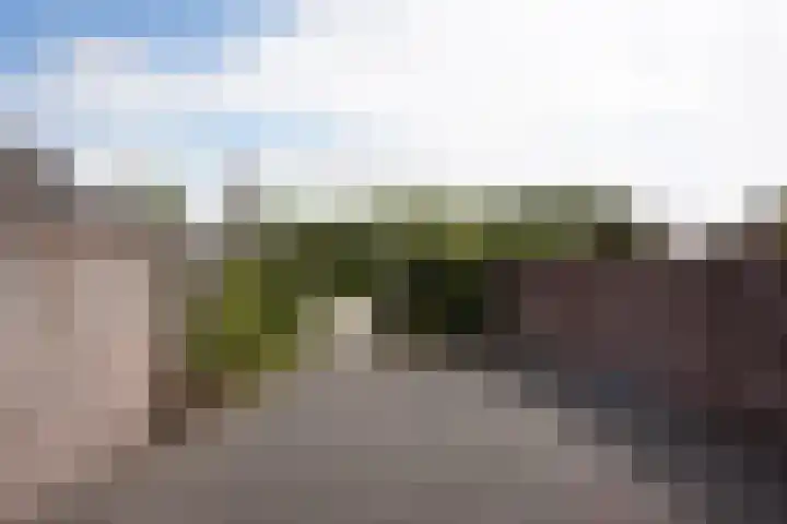 Haven 12 Aardenburg thumbnail 30