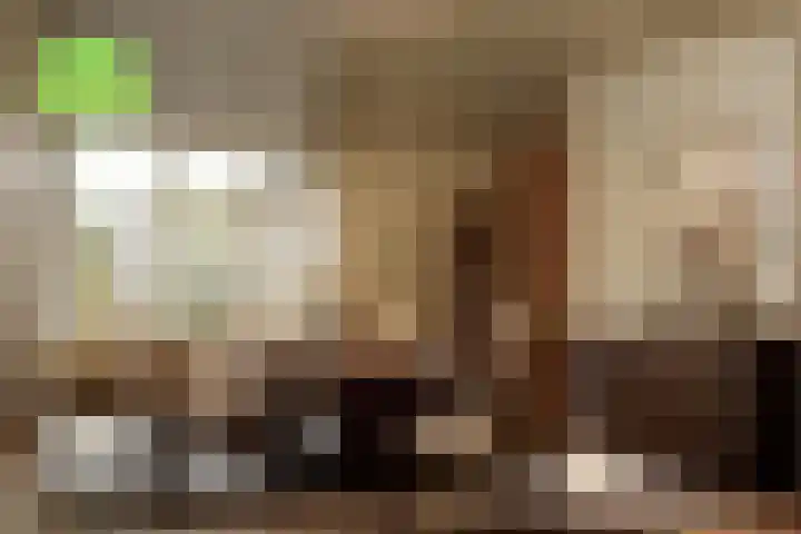 Haven 12 Aardenburg thumbnail 9