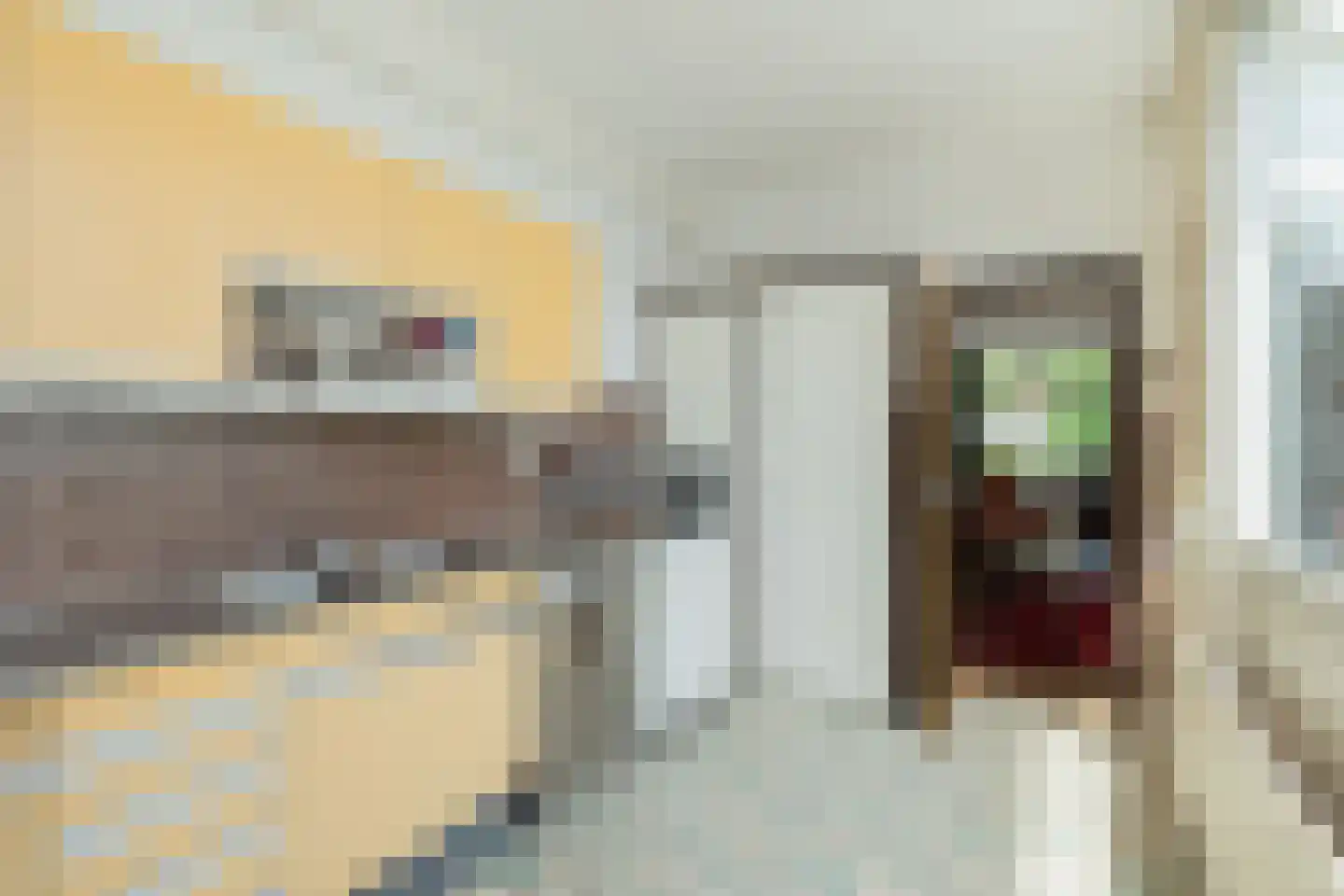 Haven 16 Hillegom thumbnail 12