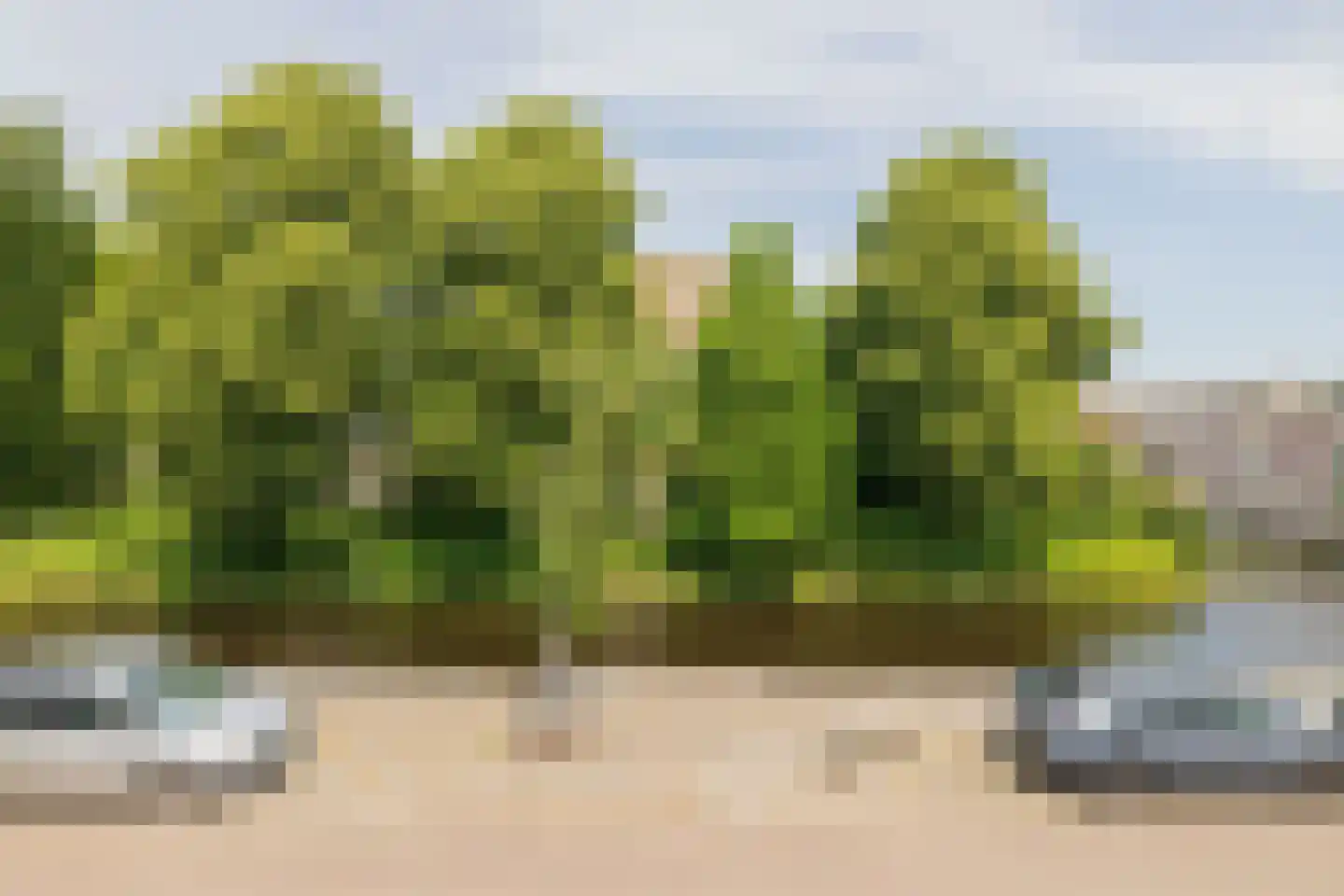 Haven 16 Hillegom thumbnail 37