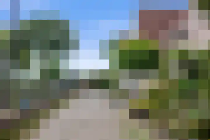 Haven 20 Sprang-Capelle thumbnail 38