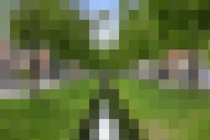 Haven 20 Sprang-Capelle thumbnail 41