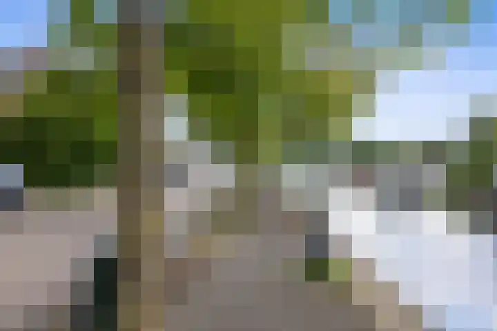 Haven 20 Sprang-Capelle thumbnail 42