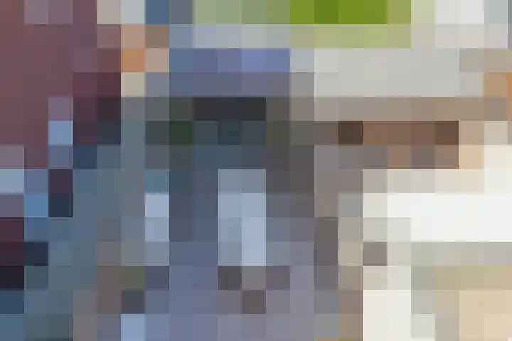 Haven 22 Leimuiden thumbnail 18