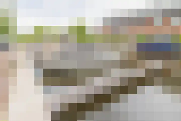 Haven 22 Leimuiden thumbnail 51