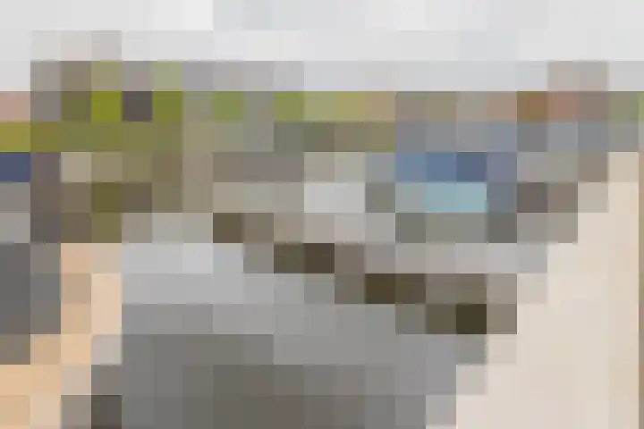 Haven 22 Leimuiden thumbnail 52