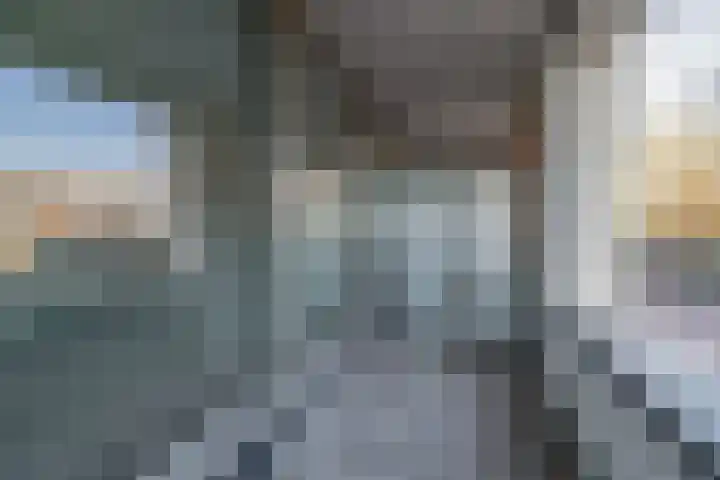 Haven 4 A 002 Lisse thumbnail 13