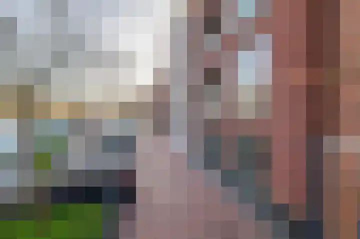 Haven 4 A 002 Lisse thumbnail 27