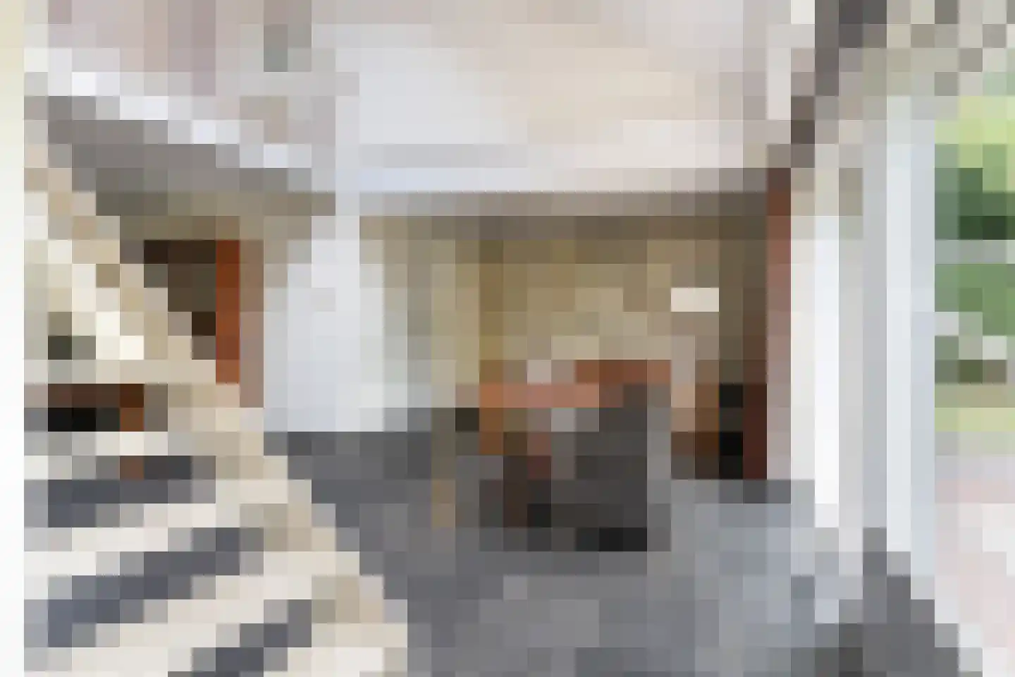 Haven 42 Goutum thumbnail 20