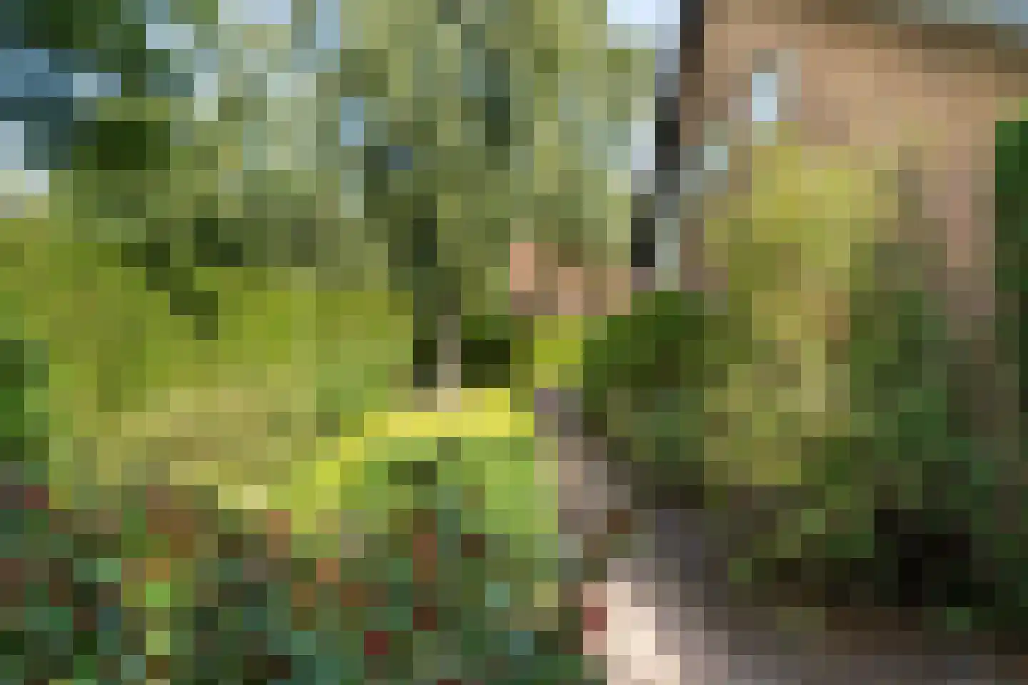 Haven 42 Goutum thumbnail 44