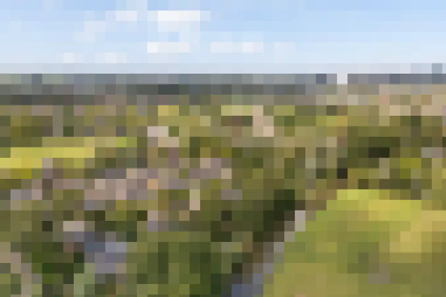 Haven 42 Goutum thumbnail 52