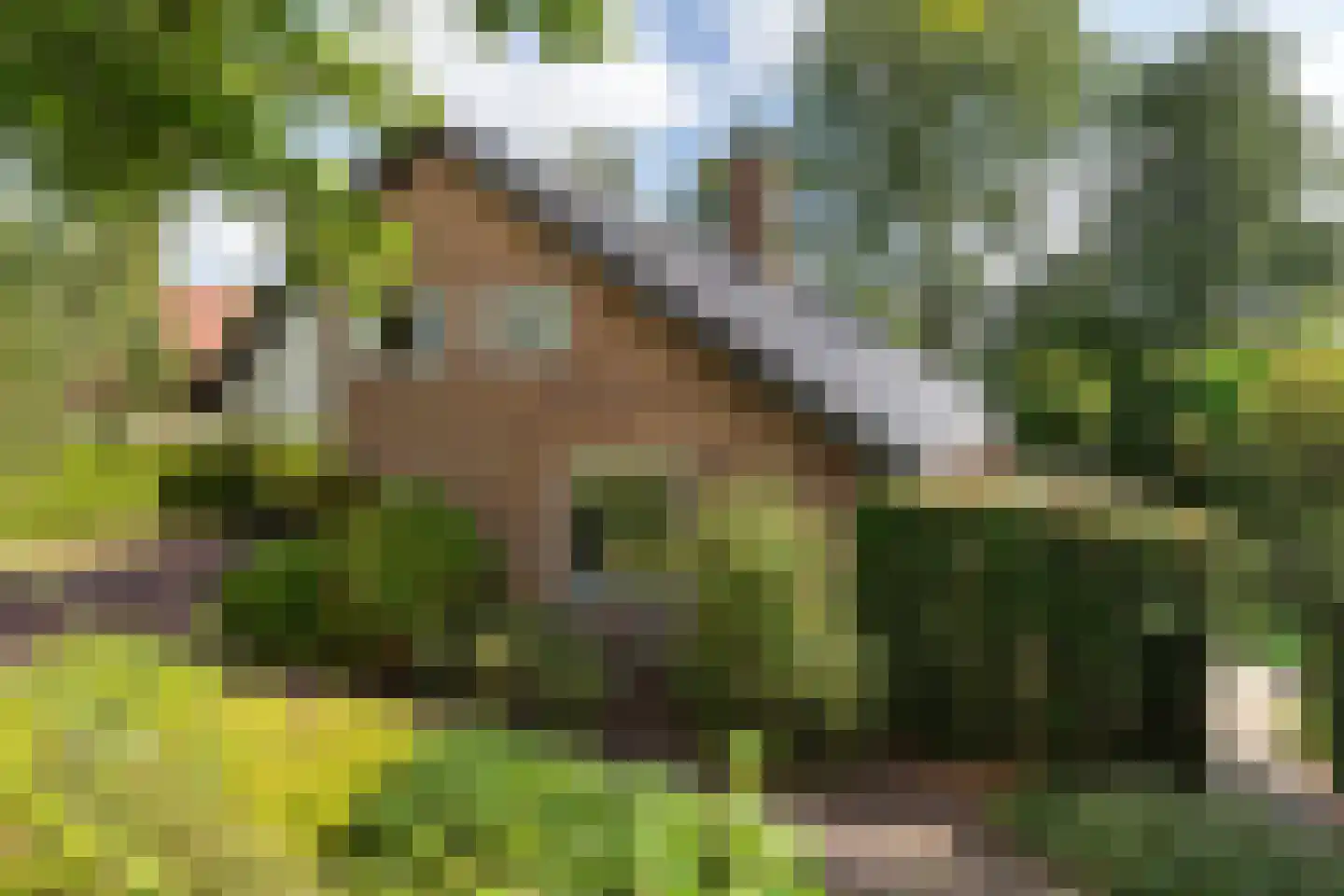 Haven 42 Goutum thumbnail 8
