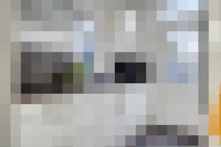 Haven 94 Hillegom thumbnail 8