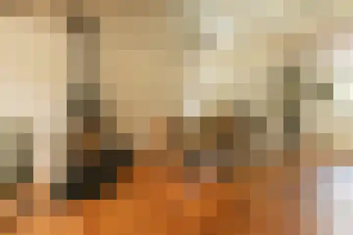 Havendijk 10 36 Ooltgensplaat thumbnail 8