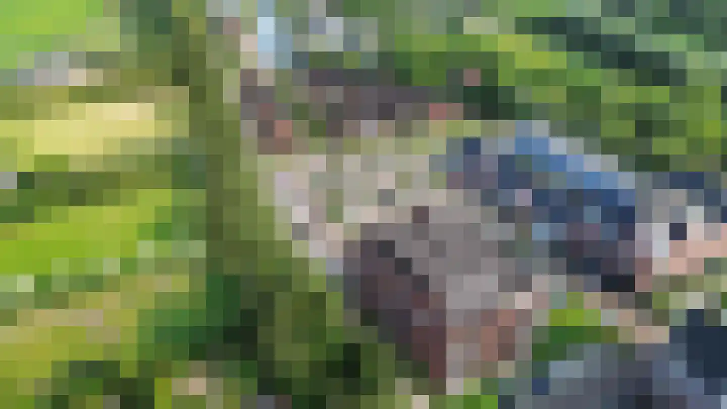 Havendijk 10 Oudenbosch thumbnail 4