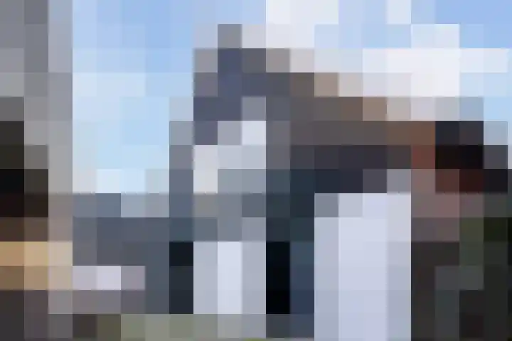 Havendijk 11 Beesd thumbnail 4