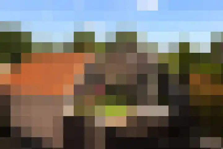 Havendijk 11 Waspik thumbnail 31