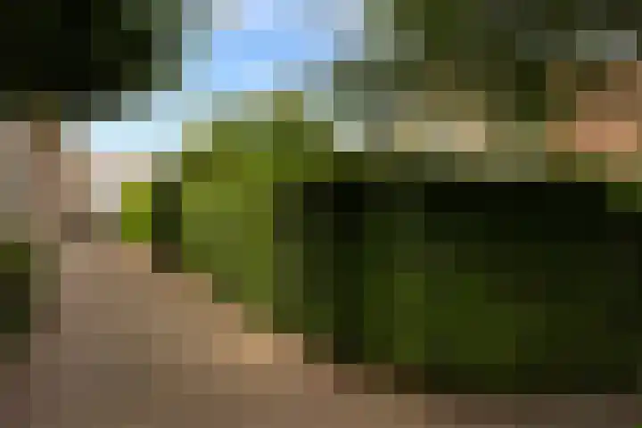Havendijk 11 Waspik thumbnail 43