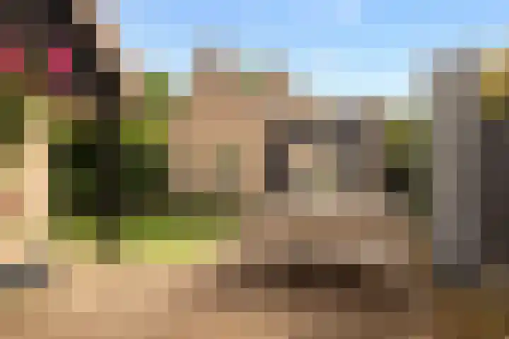 Havendijk 11 Waspik thumbnail 5