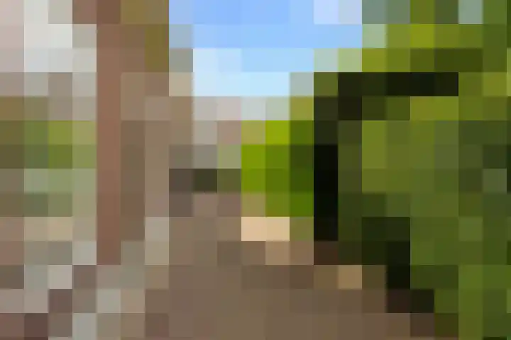 Havendijk 11 Waspik thumbnail 6