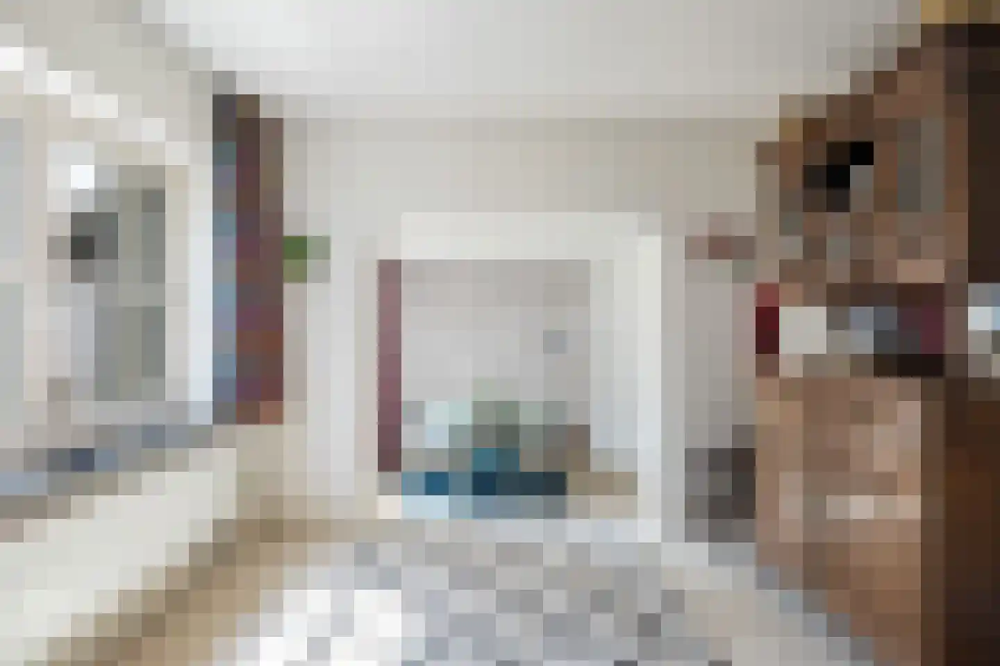 Havendijk 13 Beesd thumbnail 11