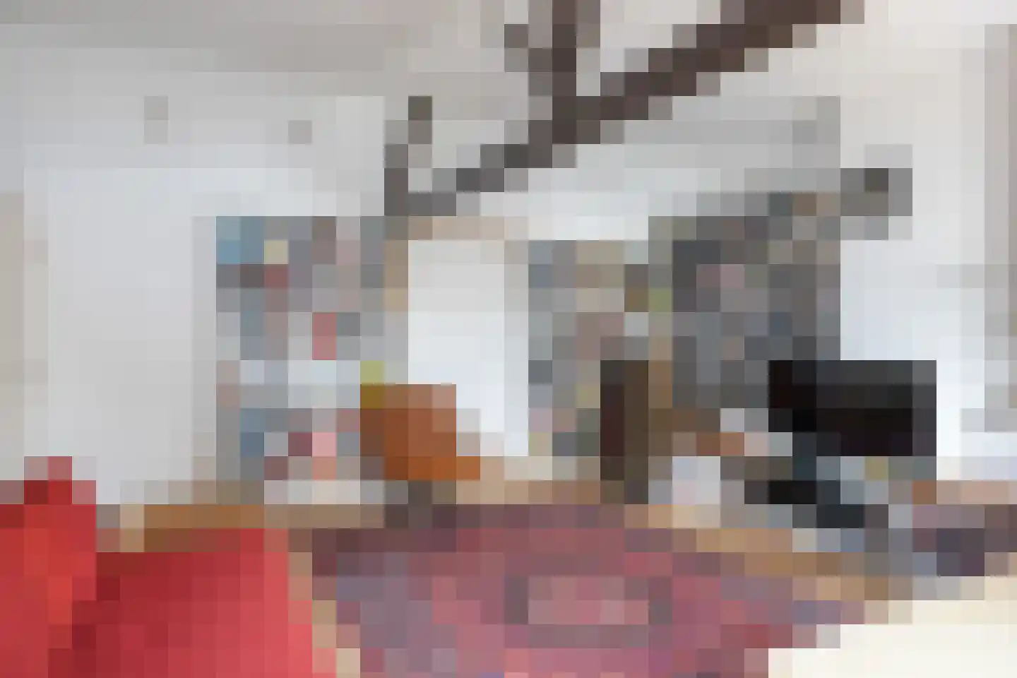 Havendijk 13 Beesd foto 2