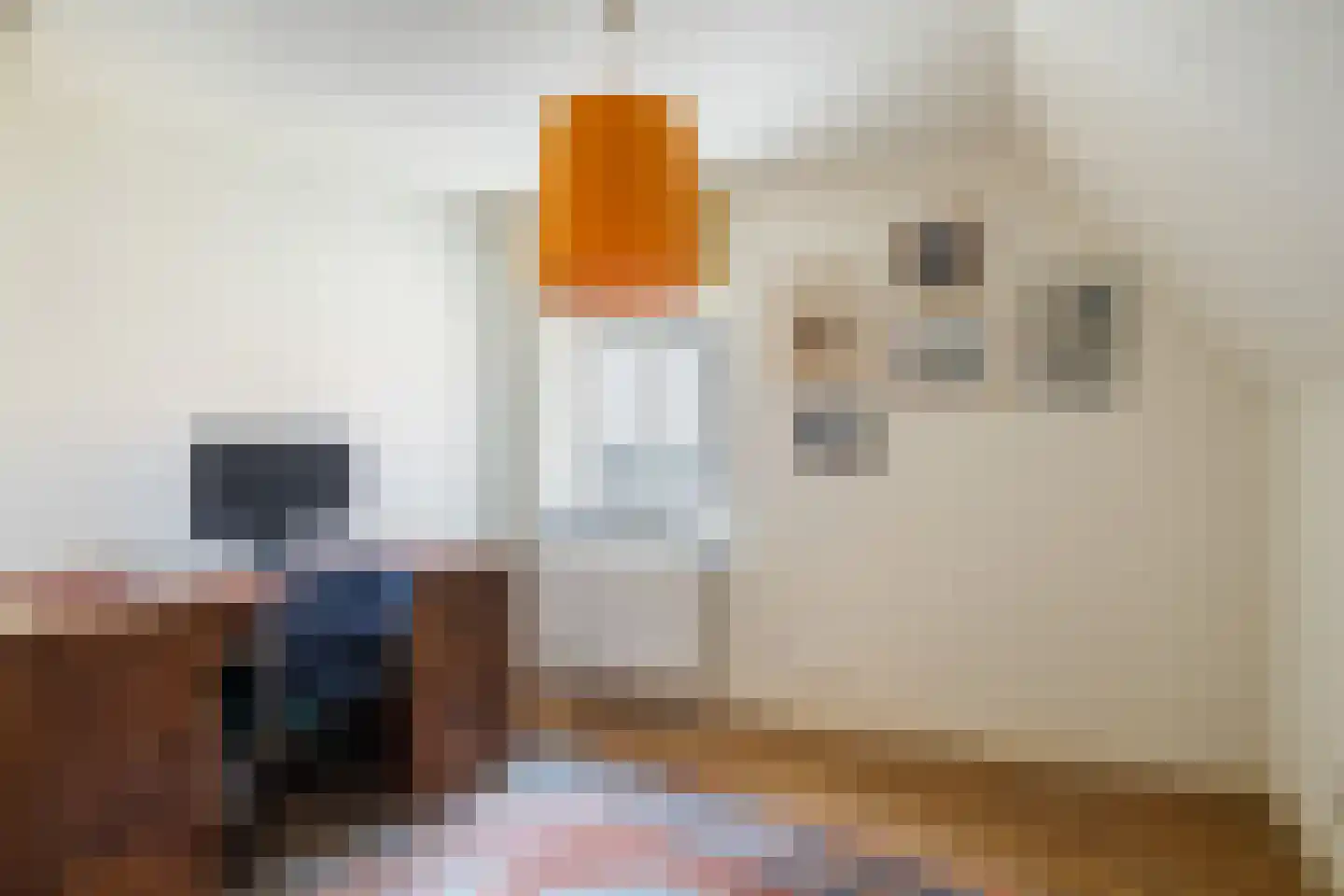 Havendijk 13 Beesd thumbnail 38