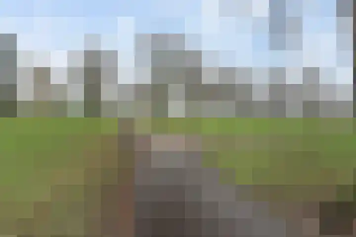 Havendijk 277 Schiedam thumbnail 17