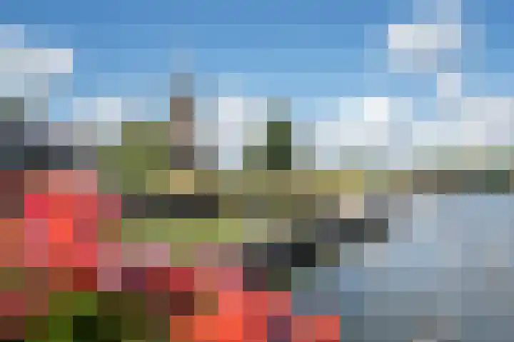 Havendijk 96 Gorinchem thumbnail 6
